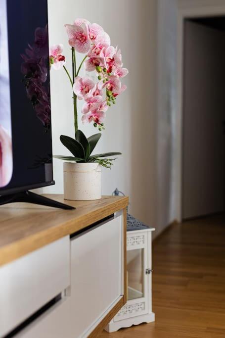Apartman Lux Self Check-In Virovitica Exteriér fotografie